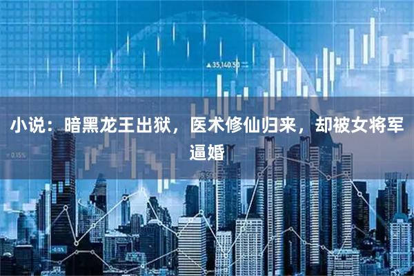 小说：暗黑龙王出狱，医术修仙归来，却被女将军逼婚