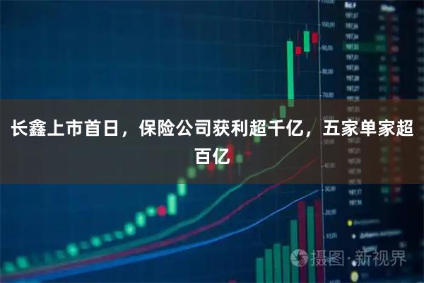长鑫上市首日，保险公司获利超千亿，五家单家超百亿